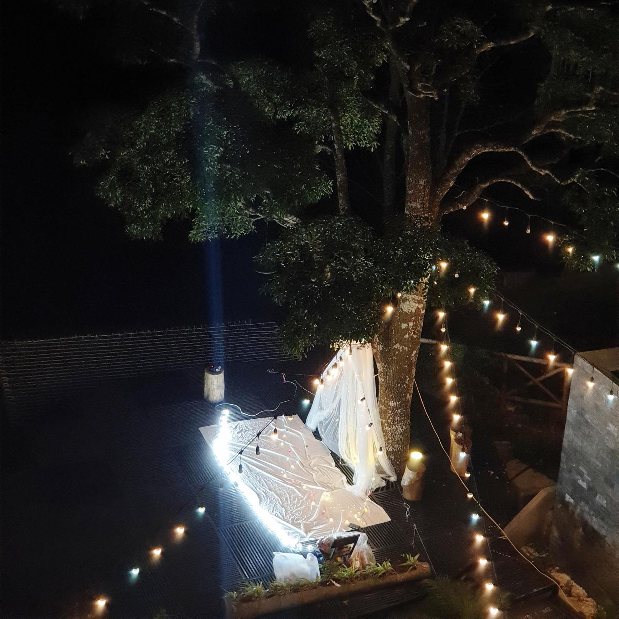 Le Vent Tam Dao Homestay Exterior foto
